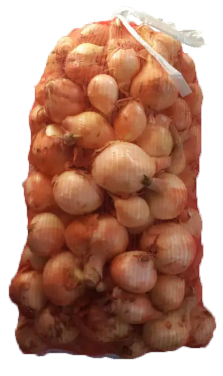 Red Onion Mesh Bag 18 KG