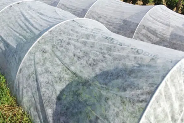 Agricultural Non-Woven Roll 2.4M*500M