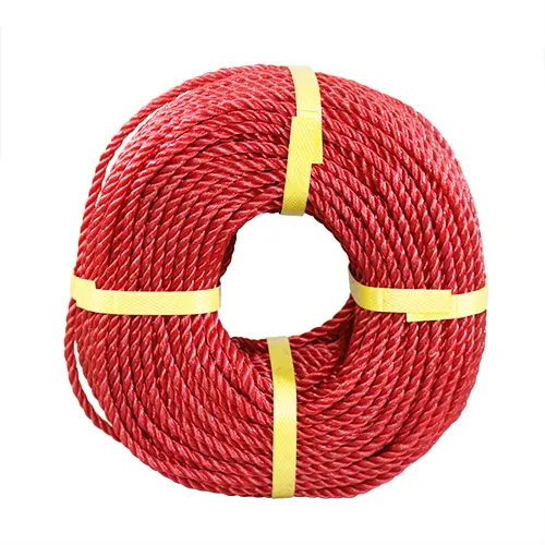 Plastic Rope 6 mm - 100 Meter