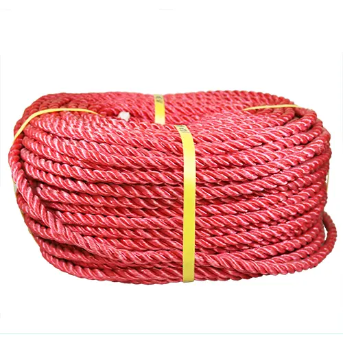 Plastic Rope 12 mm - 100 Meter